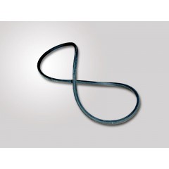 Пас приводний